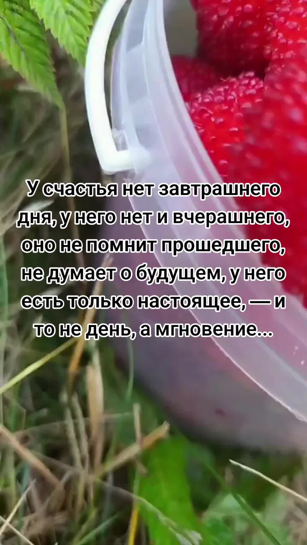 @Lesya Bronzova