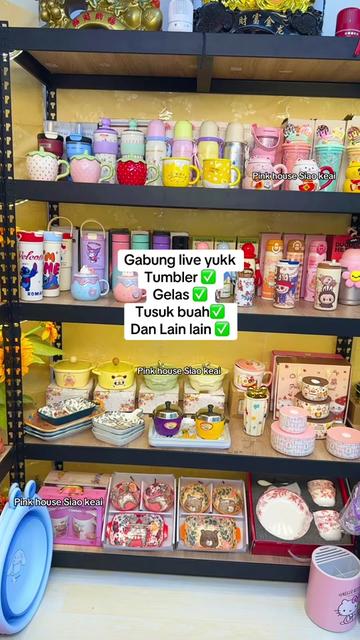 @Cece pink house