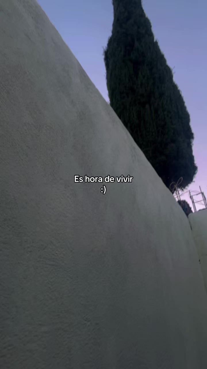 @Chamo Gonzalez