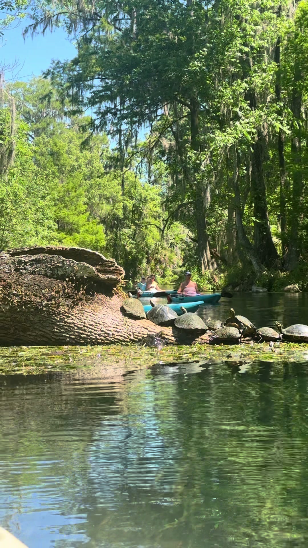 @Wet Rabbit Kayaks