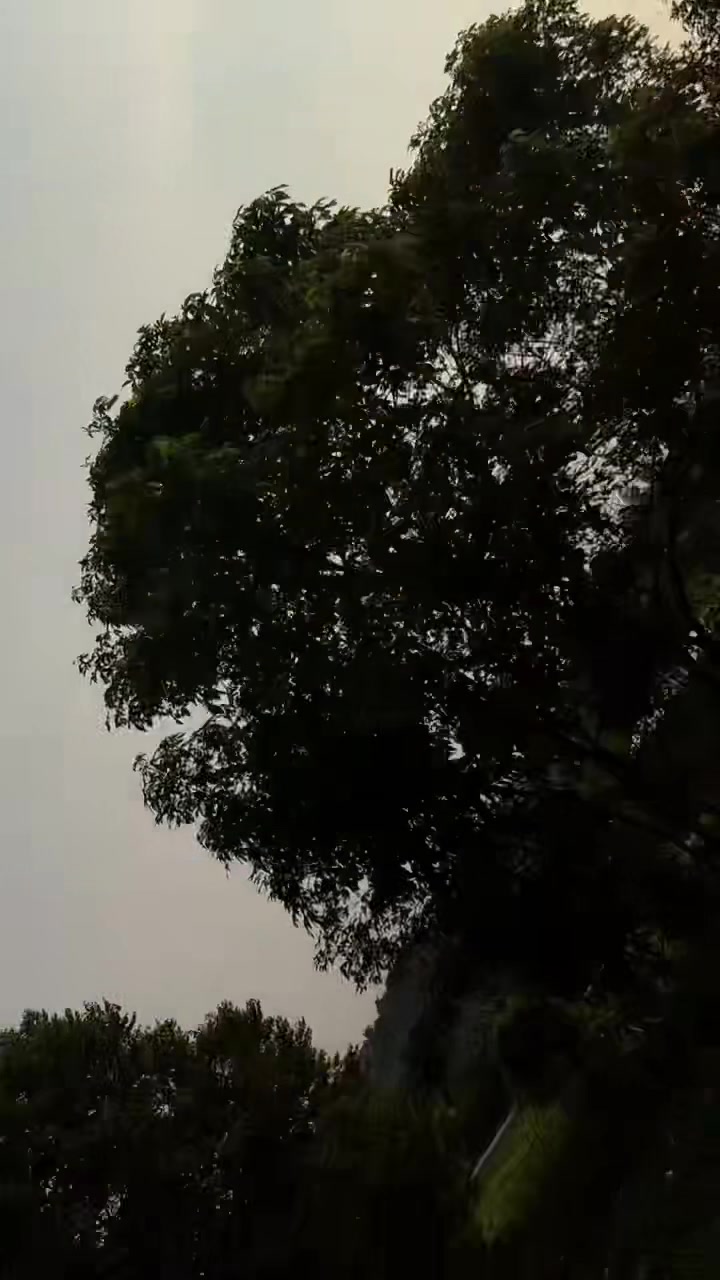 @Sovan Gupta