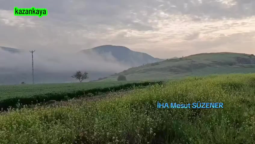 @mesut s&uuml;zener