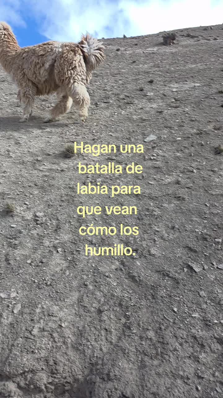 @Lisseth🫦
