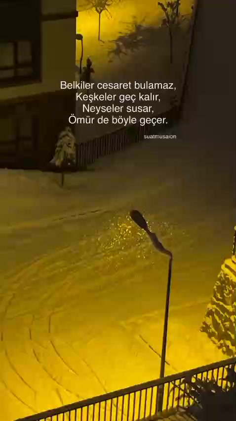 @fenerbahçe SK