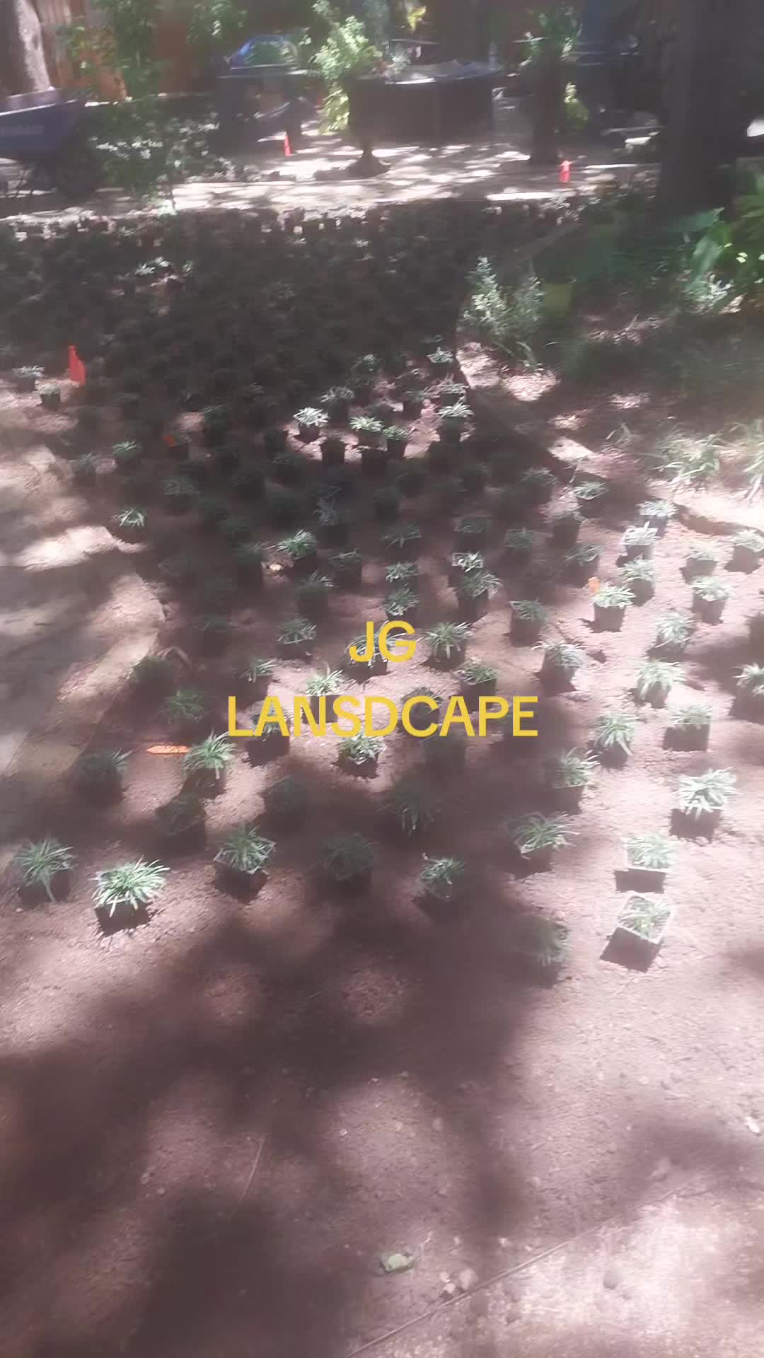 @JG Garcia70725