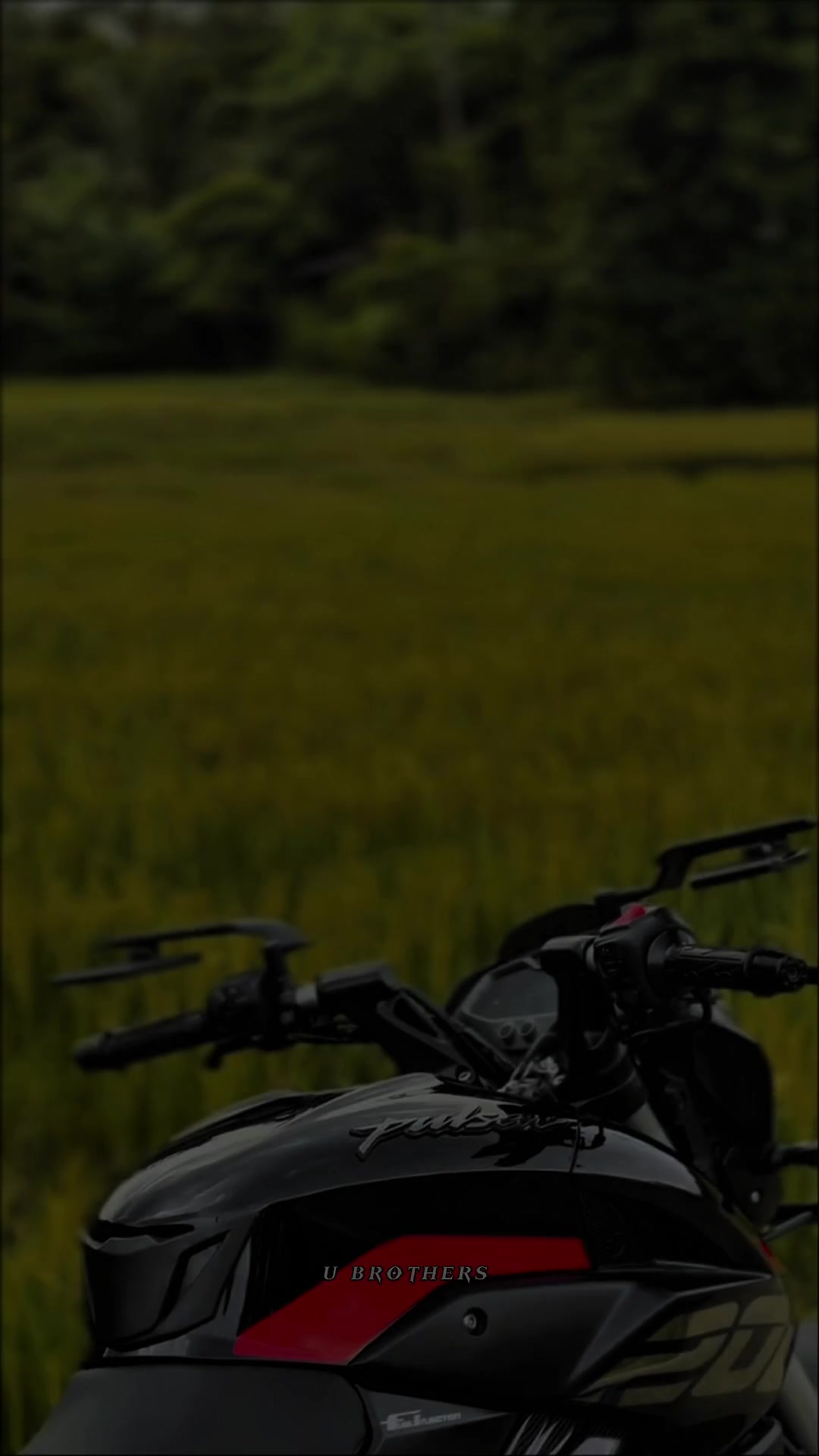 @𝗠𝗿 .Uᴍᴀɪʀ🪐