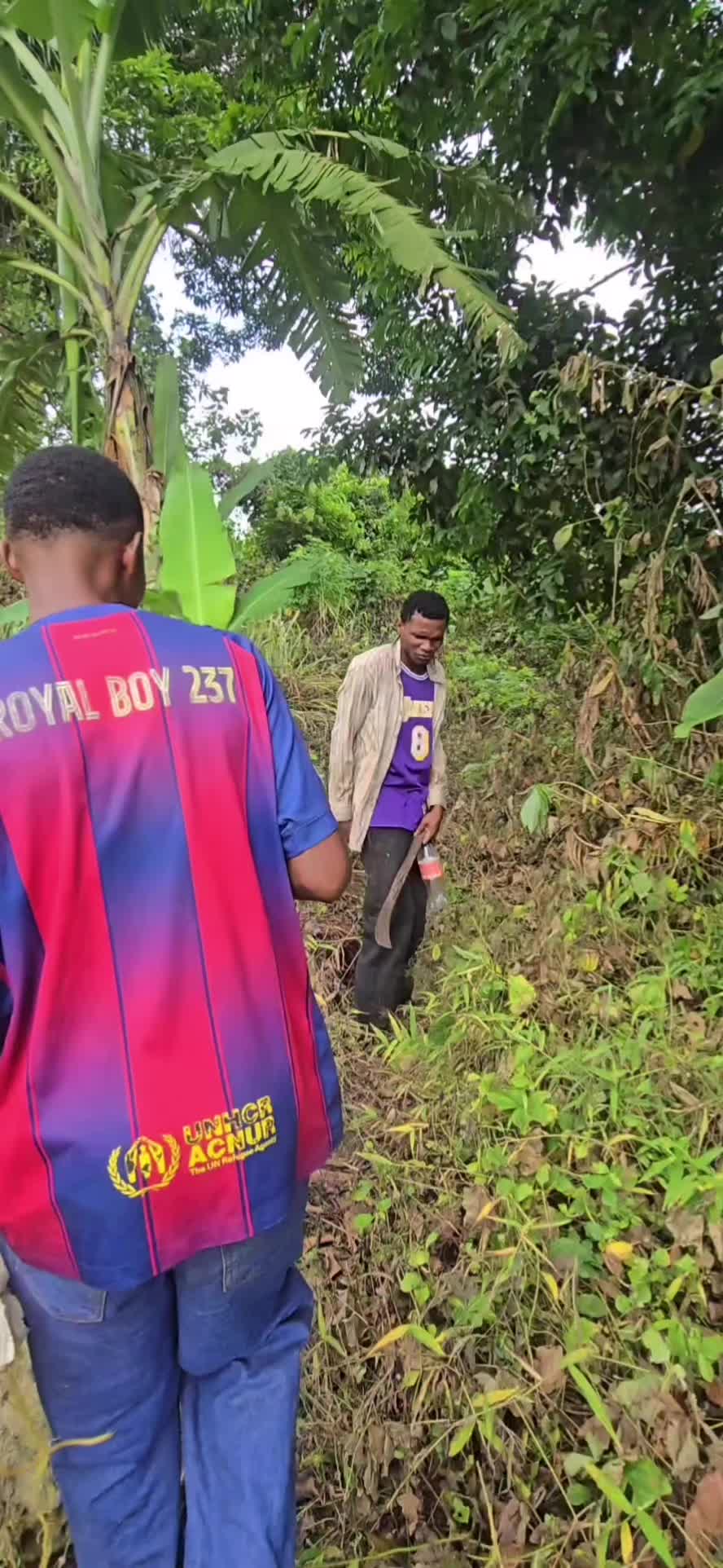 @Royal Boy 237