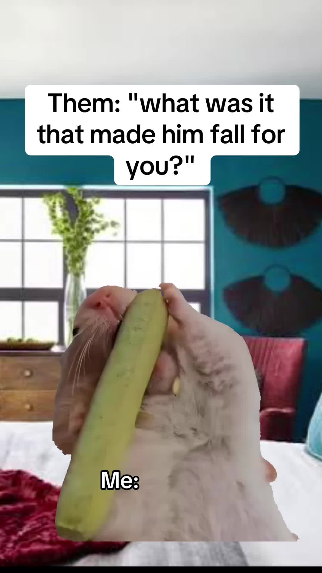 @kalico386