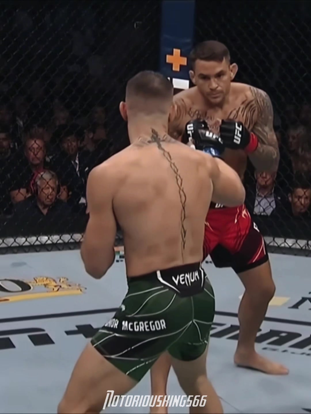 @Conor Mcgregor