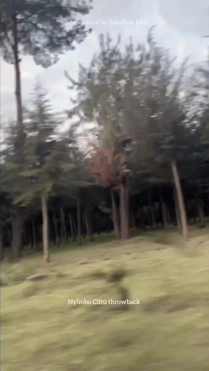 @Murima Frontier™.