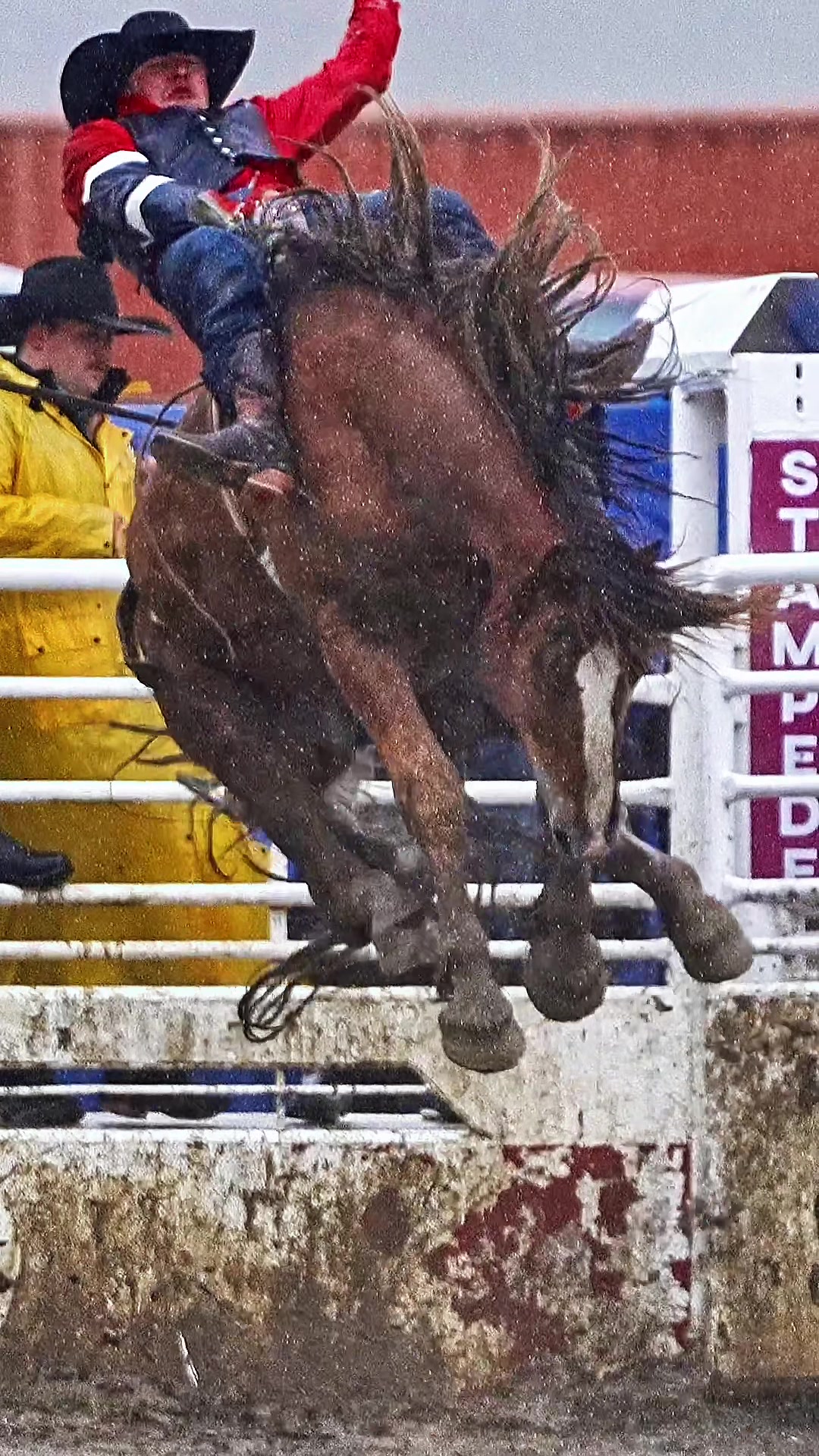 @Hanginghorses