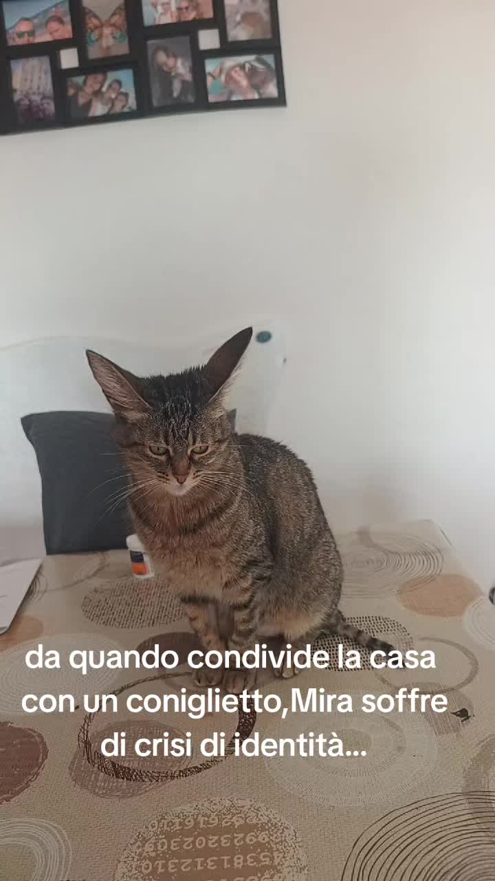 @Sebastiano