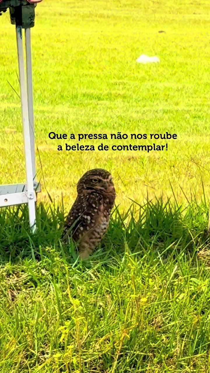 @Josiane Vieira