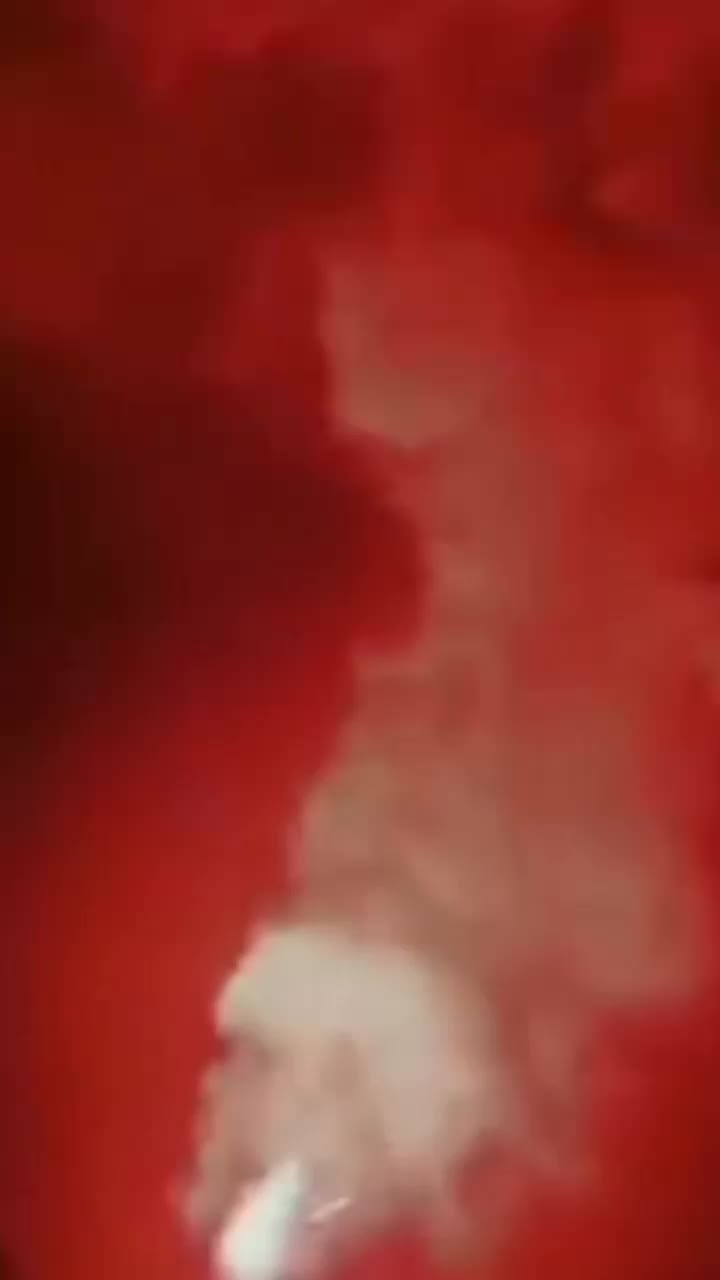 @Godzilla_darkkaiju_87