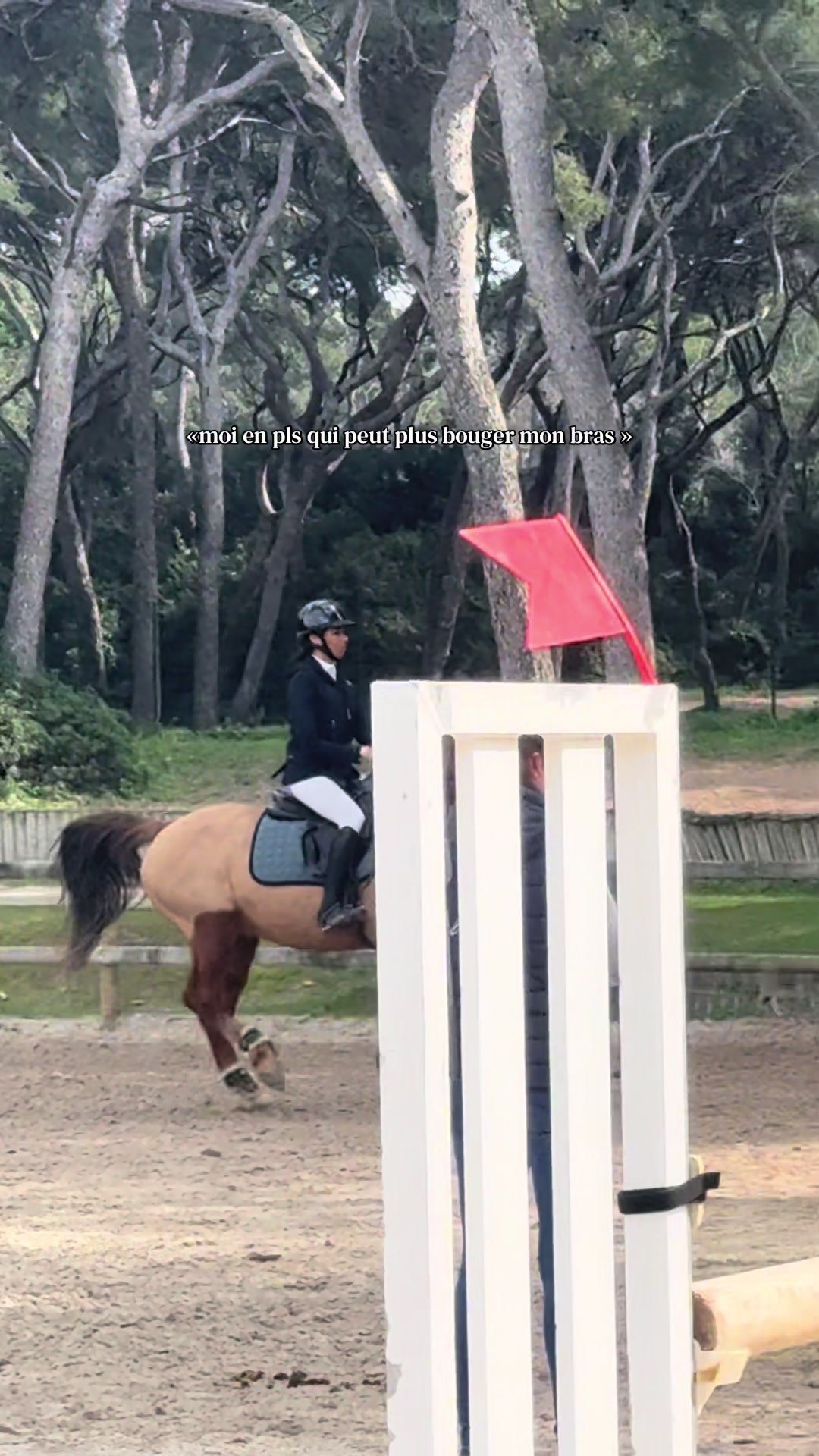 @Le poney qui salut les jurys✨