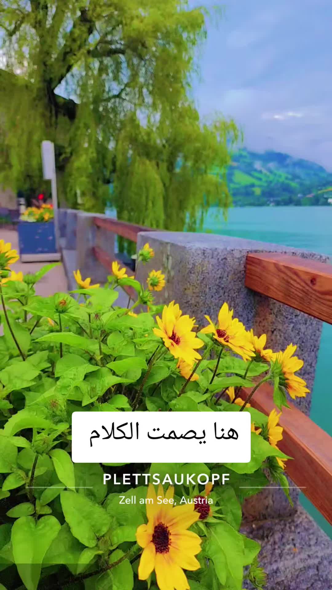 @Akil Alhalmi عقيل الحالمي