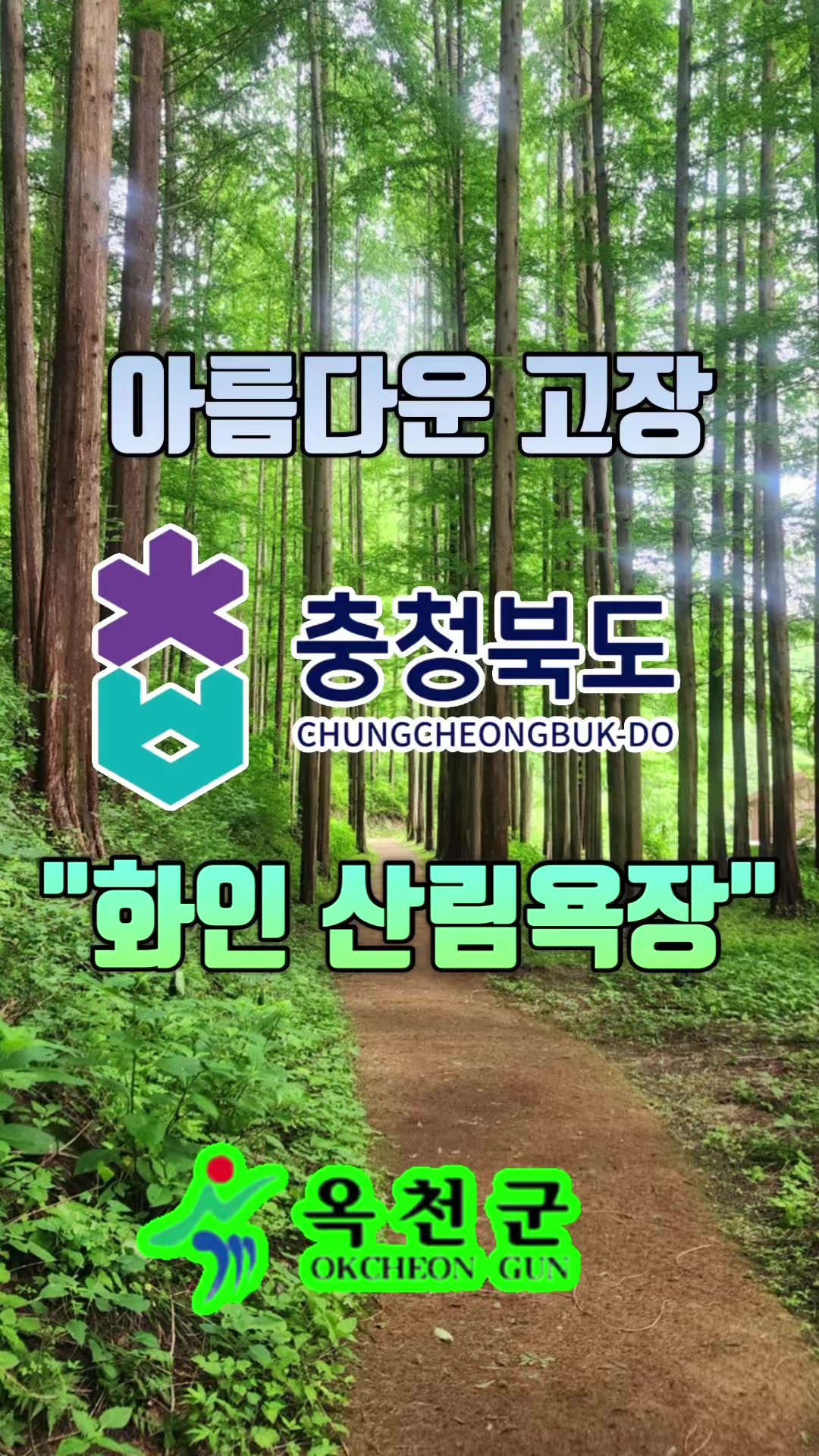 @043 TV