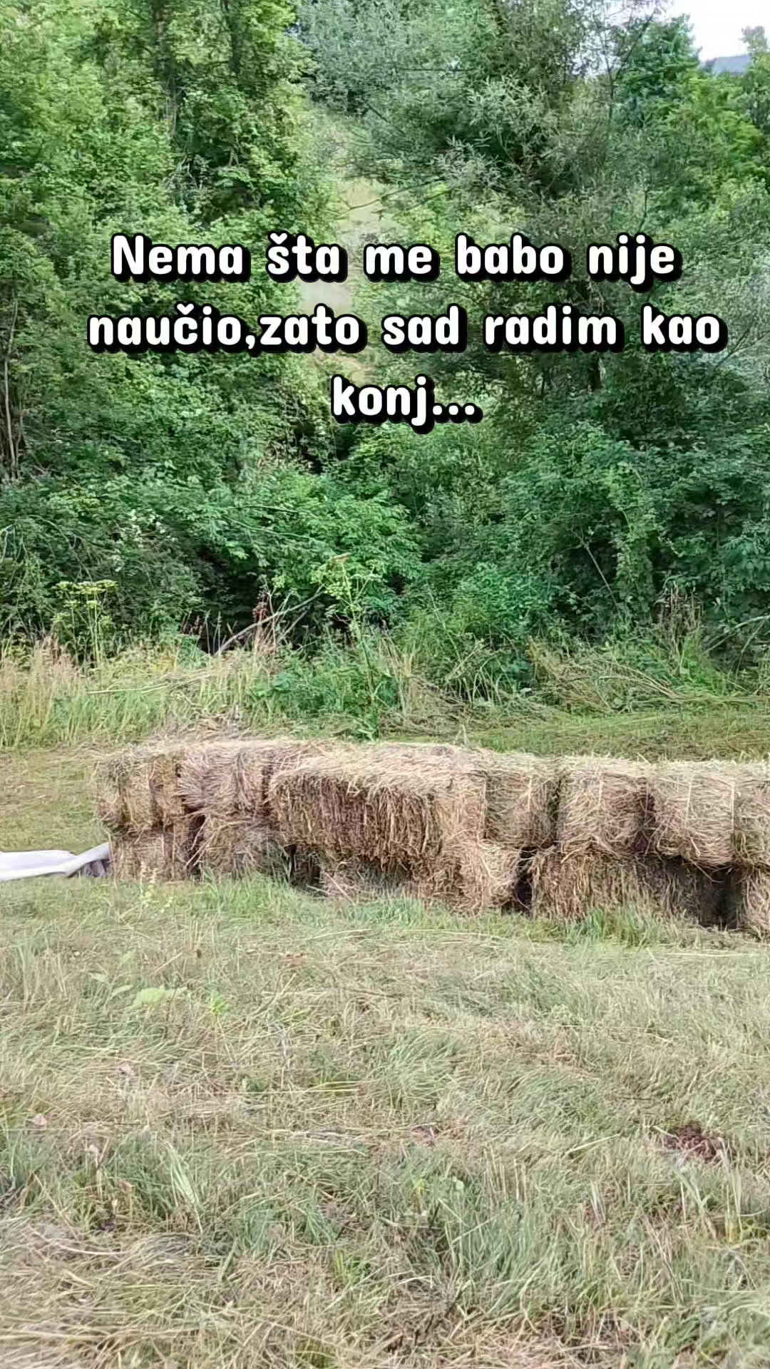@NoćniMomak