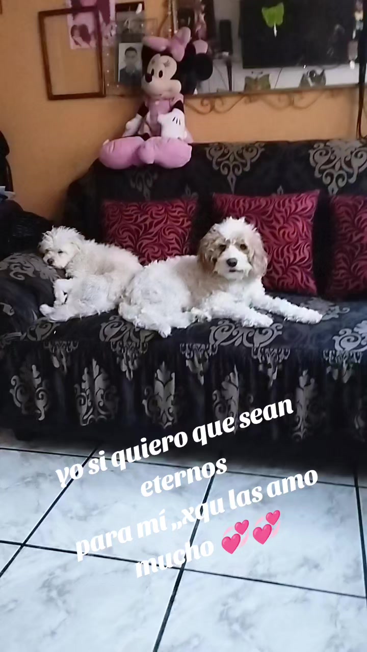 @Maryza
