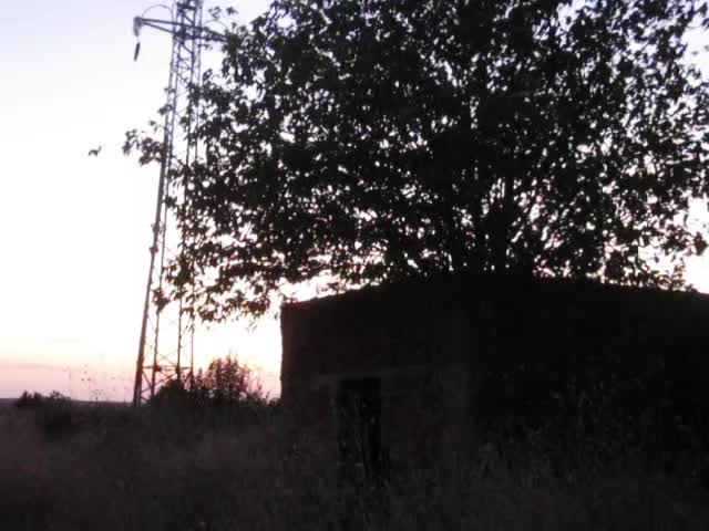 @lost in nostalgia