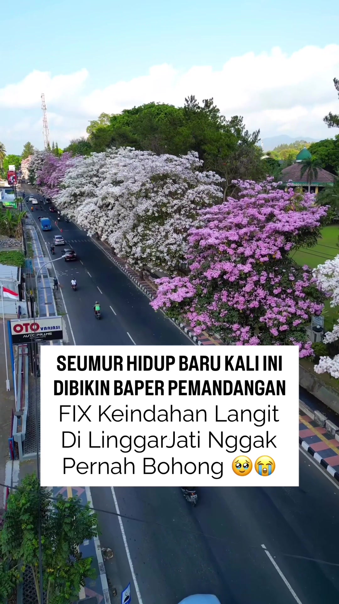@Linggarjati Joglo