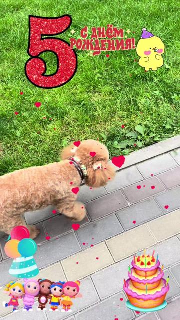 @🌺LILIY-LILIY🌺