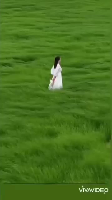 @gulabavi