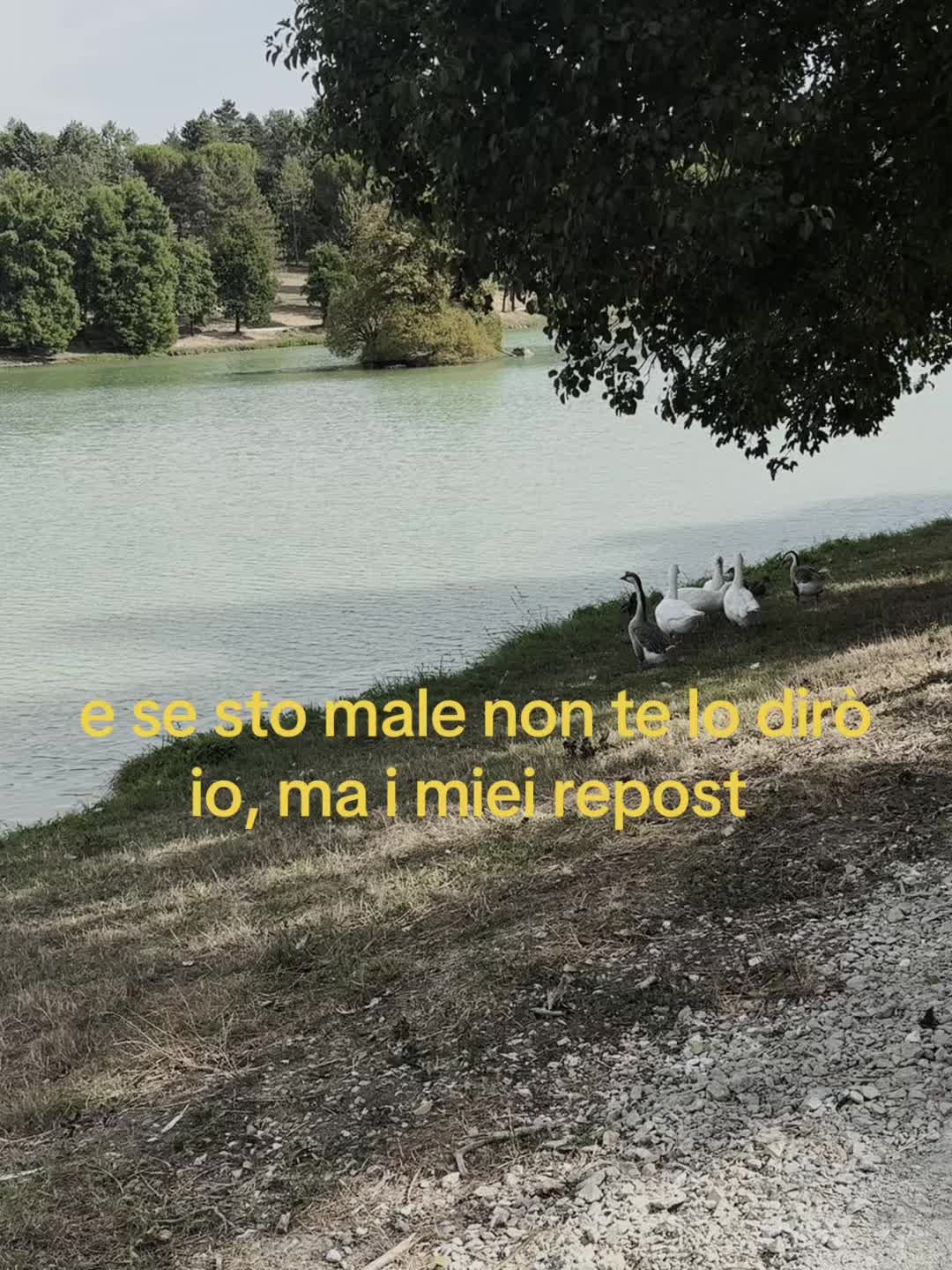 @asia.spamm