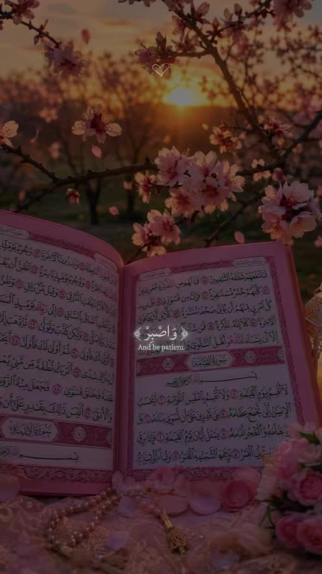 @QuranLight🌕