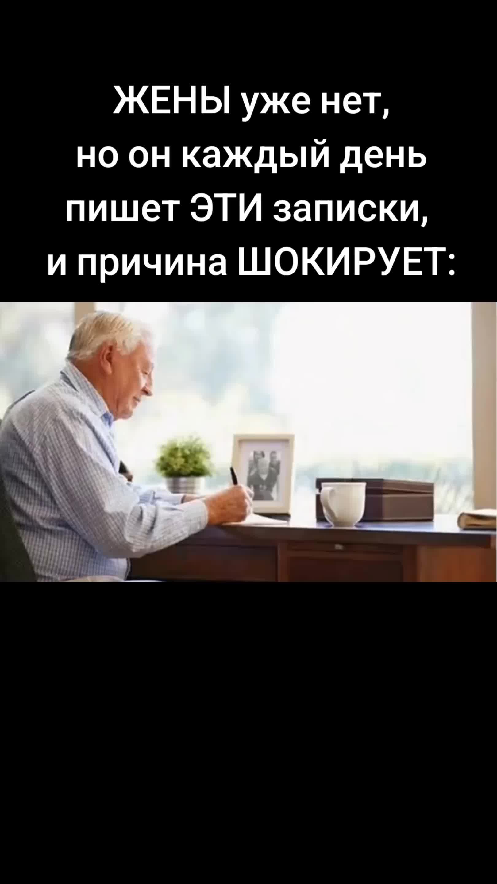 @Алёна Веста