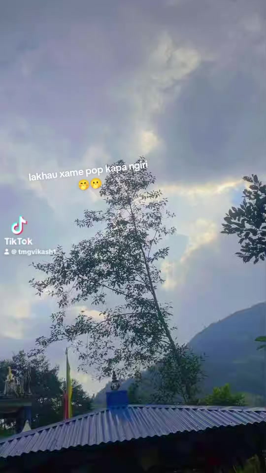 @Vikash 🤯