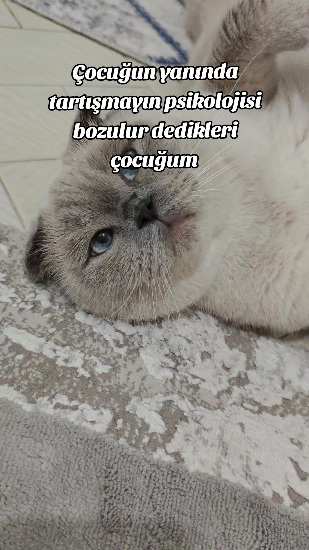 @💙SÜTLAÇ BEY💙