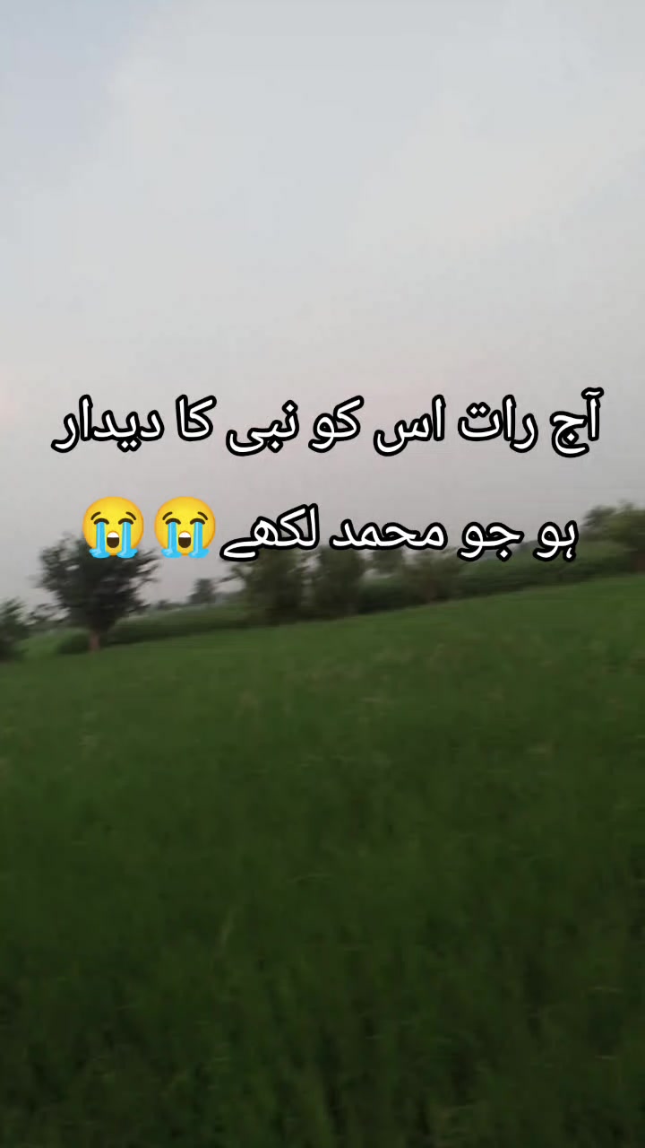 @<'پاگل' ہو >🦋