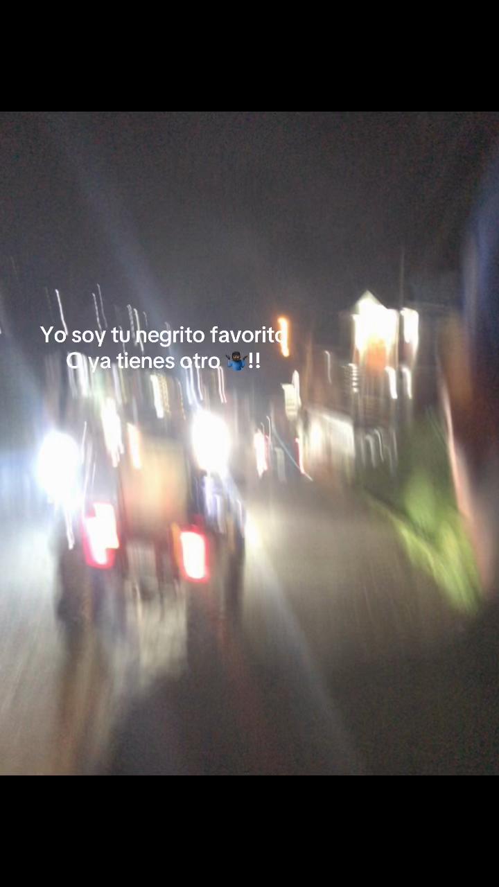 @🦥 Treminio 🦧