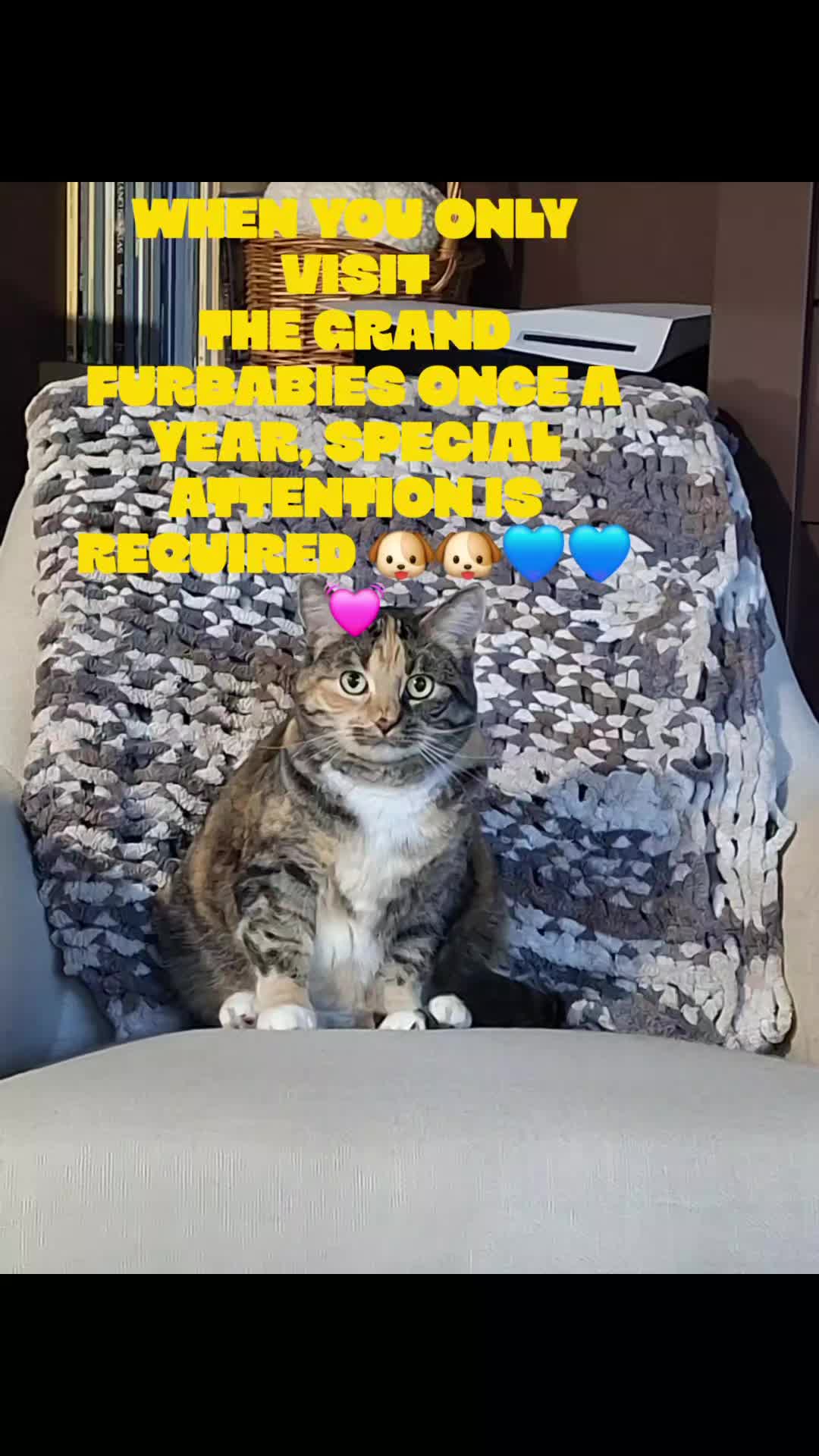 @Dogmom