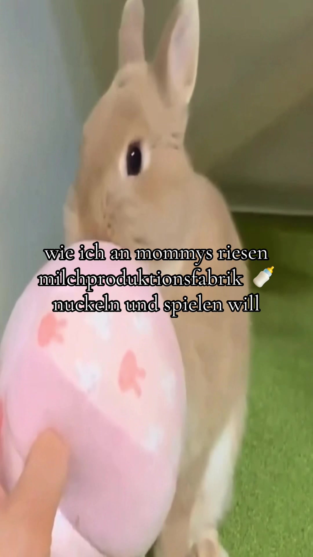@Eierkopfsalat