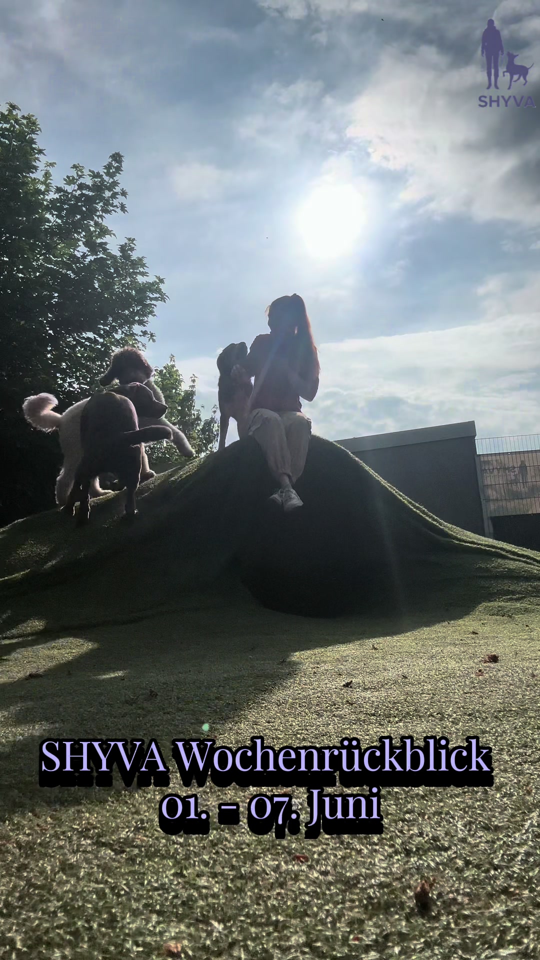 @Shyva Hundezentrum