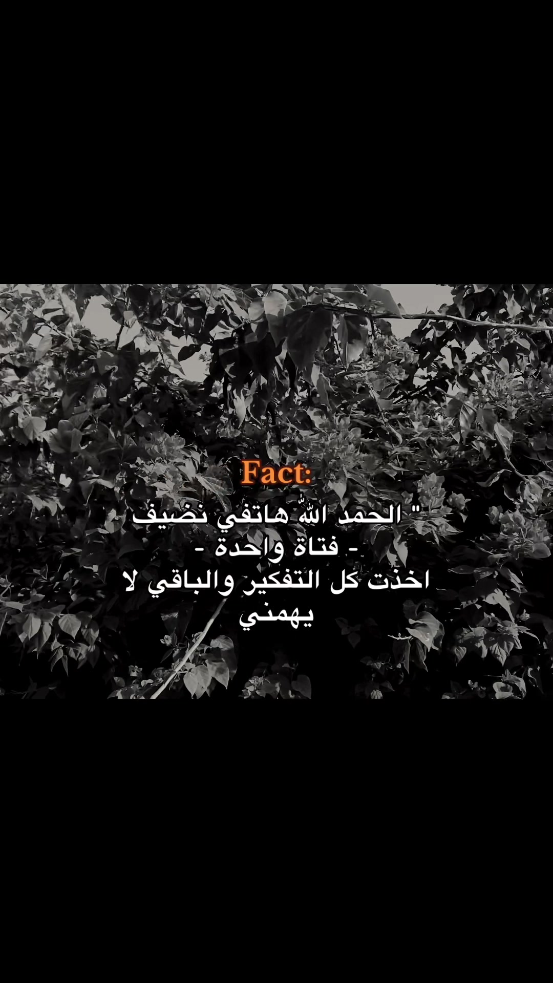 @انــــــسٓ&lsquo;&bull;&hearts;️𓏺𓏺𝒩