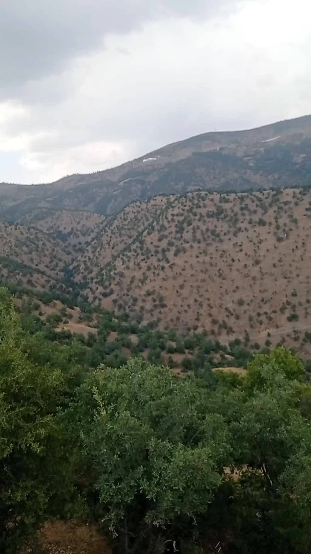 @Memet Can