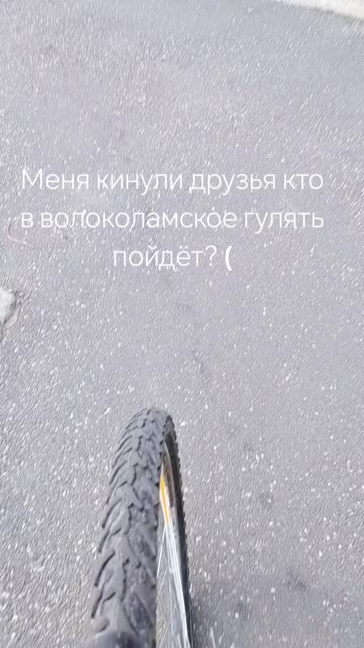 @Evil Morti