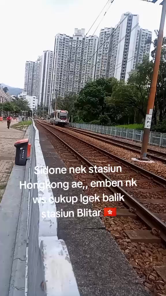 @Rina Chelsy
