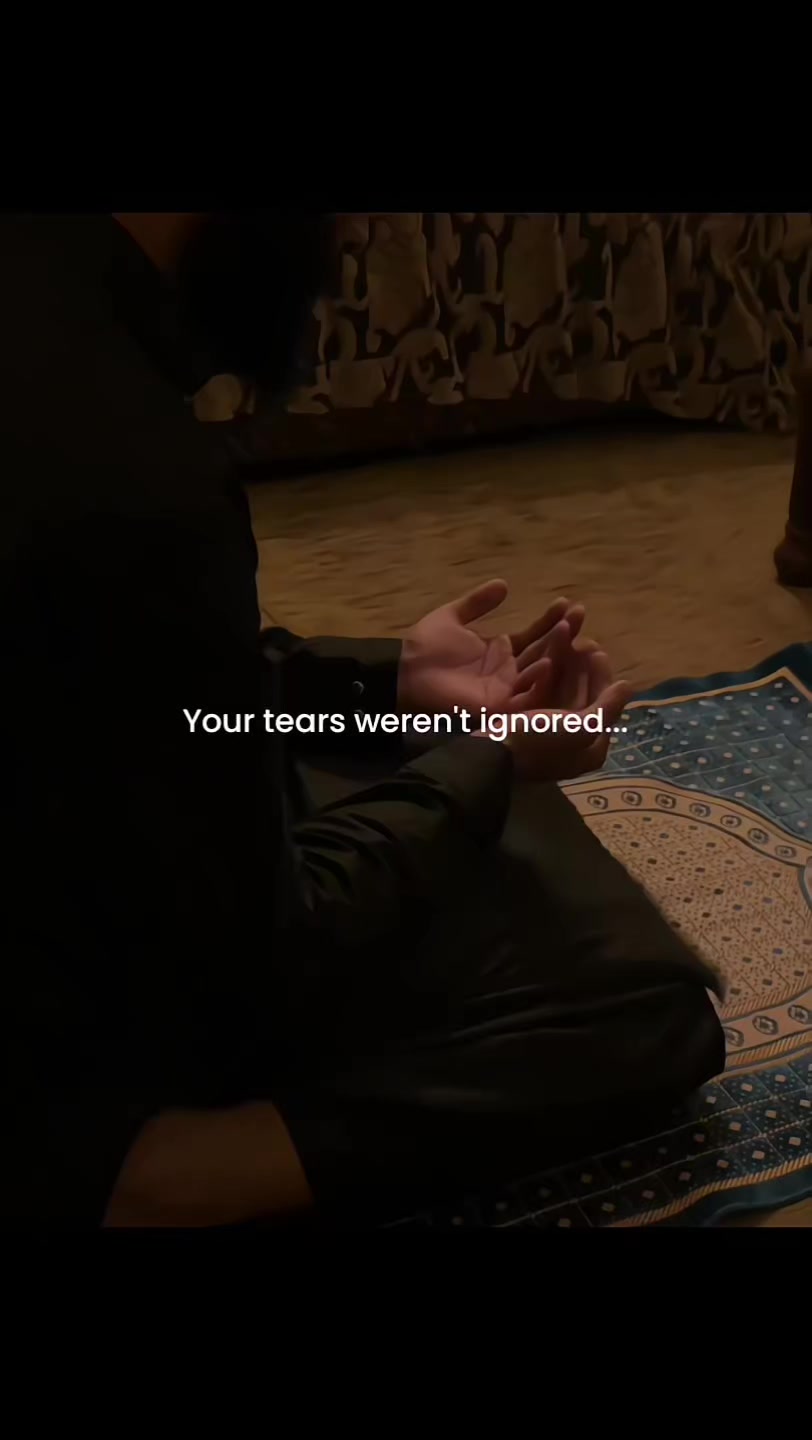 @Halal Mohsin
