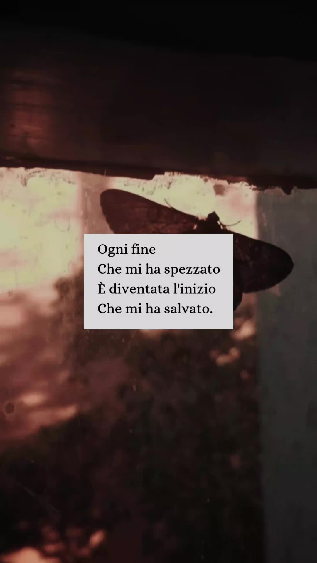 @Elle • Libri & Citazioni