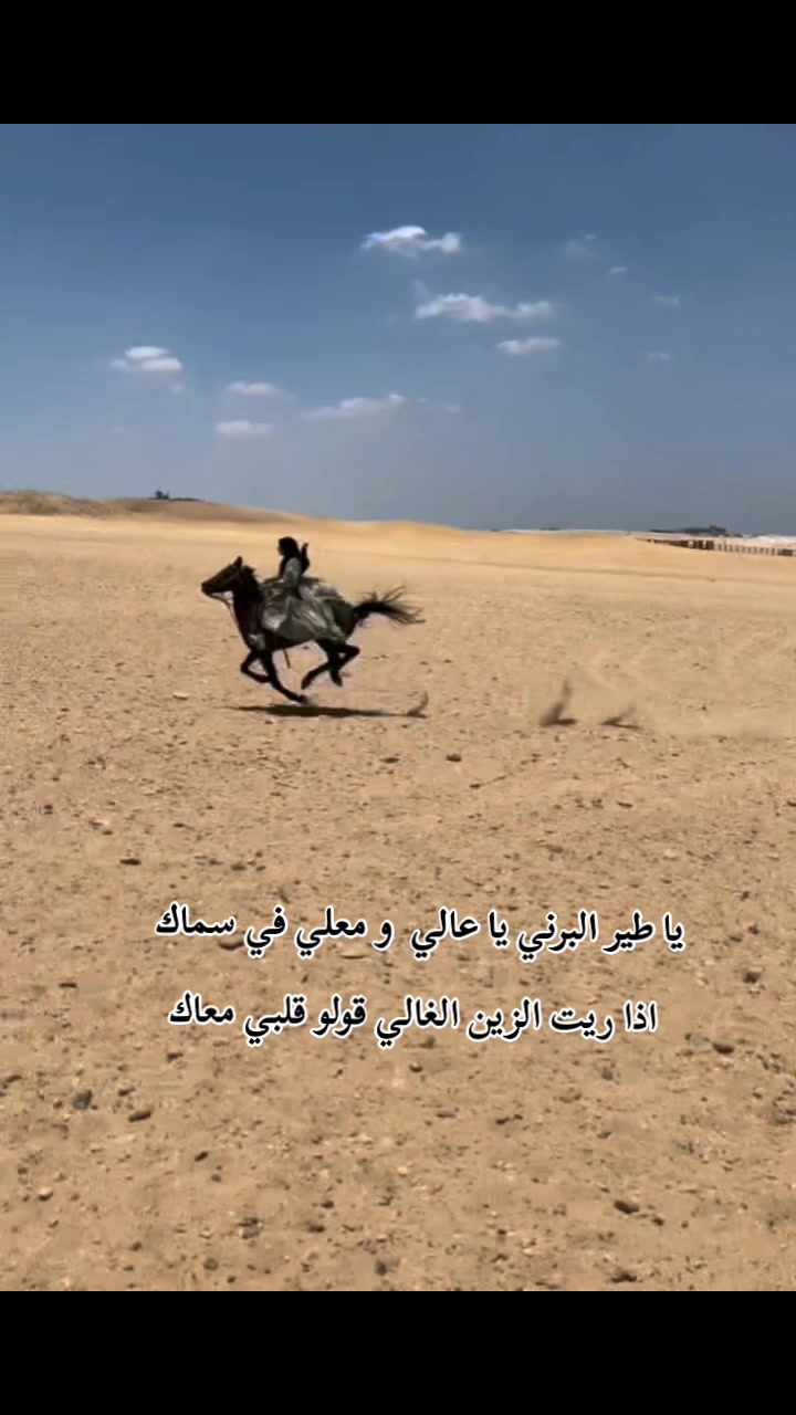 @هادية조용한 🇹🇳🇰🇷