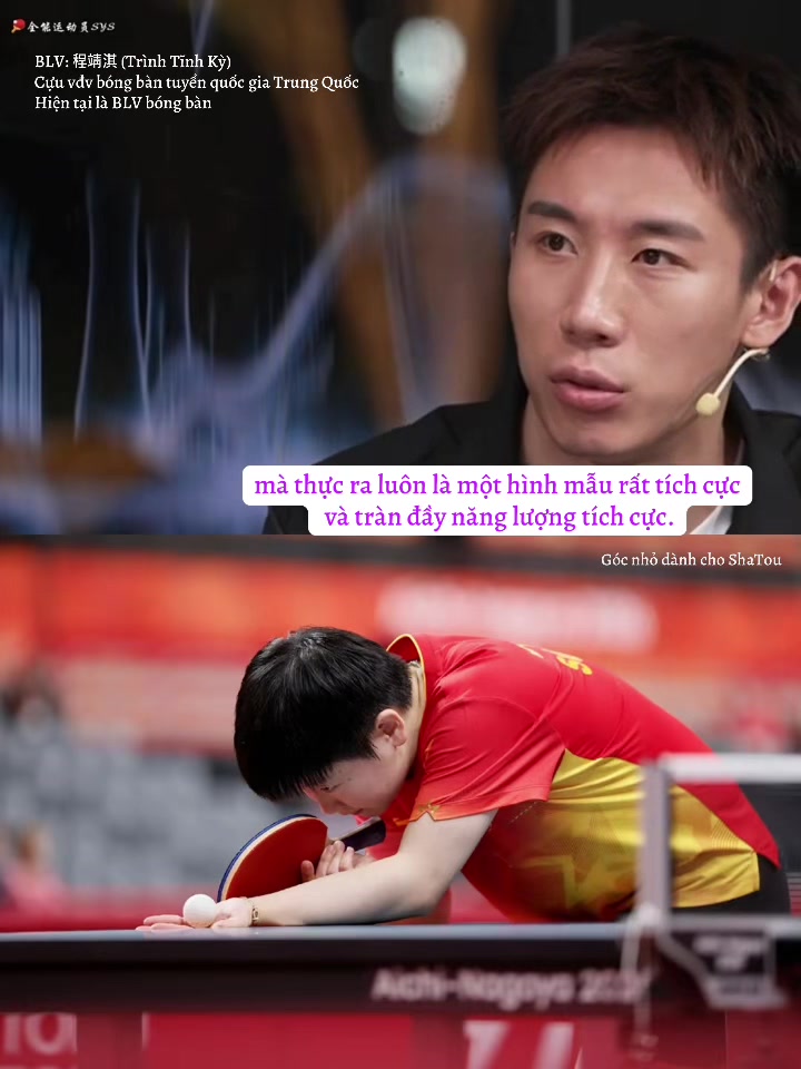 @Góc nhỏ dành cho ShaTou🦁🦈❤️