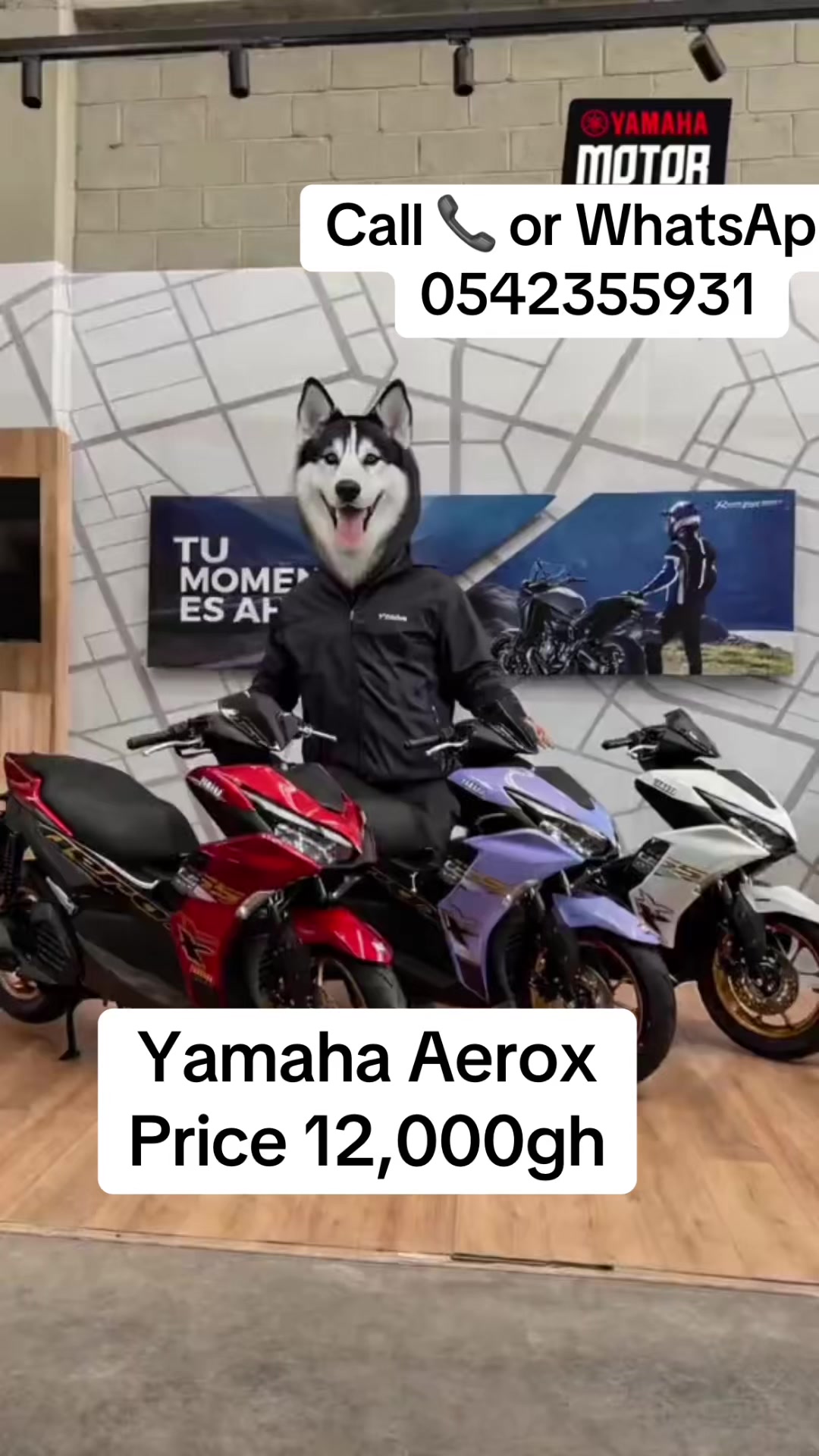 @Mr John Motor