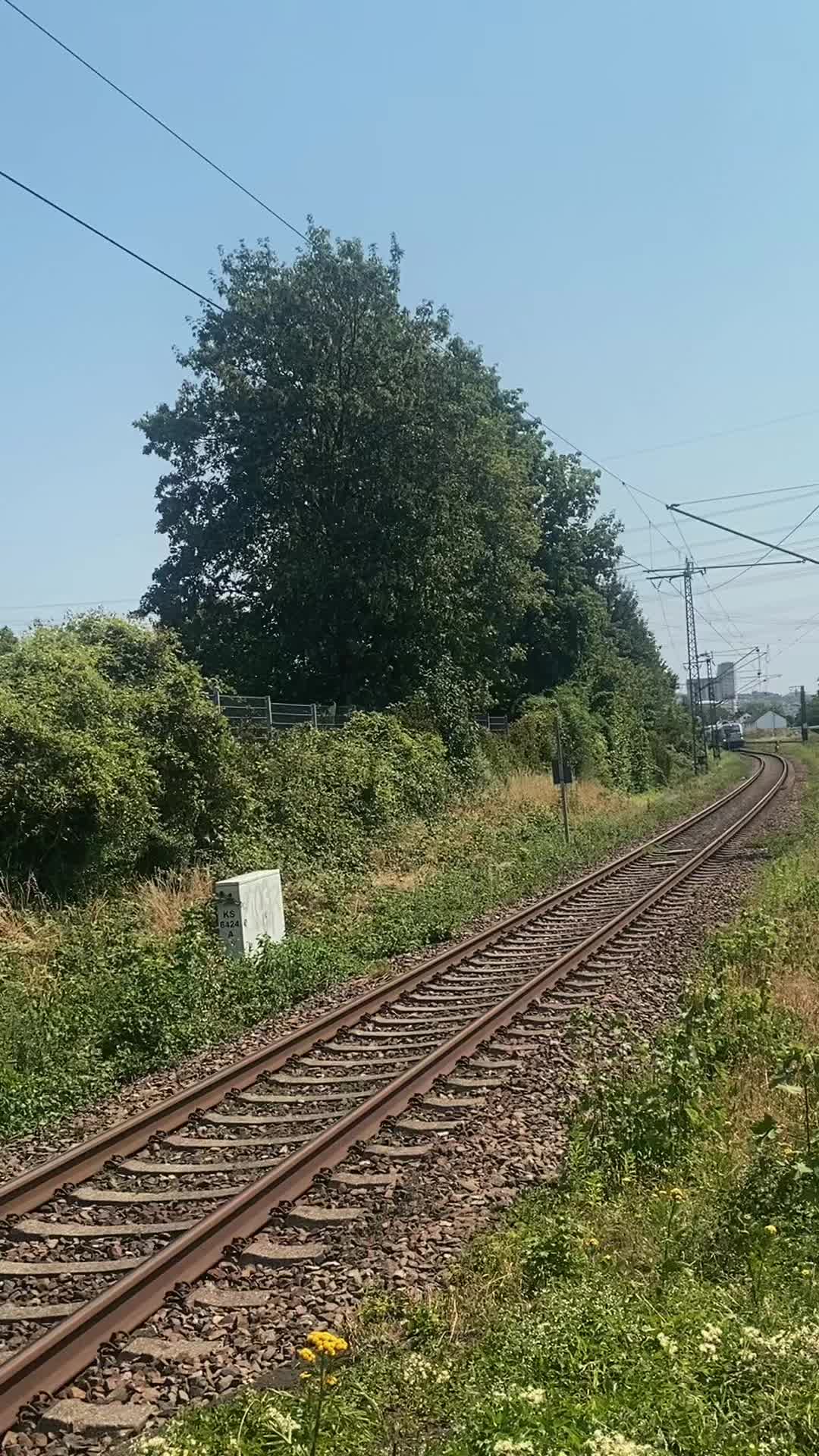 @trainspotterlevi