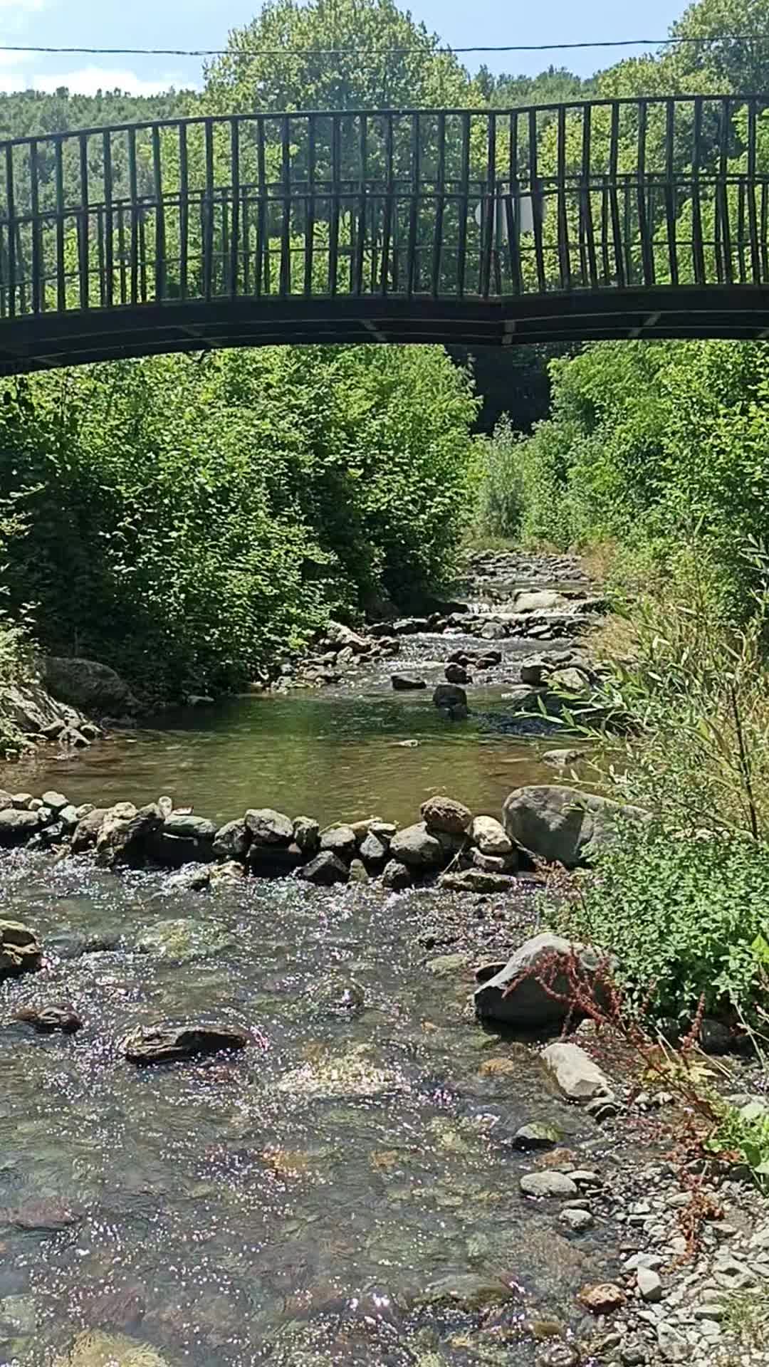 @bekir &Ccedil;ayır