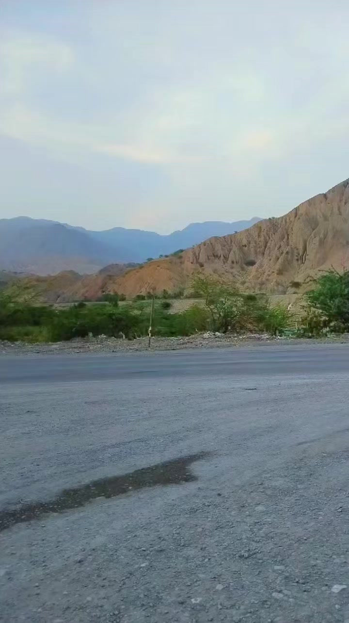 @Muhibkurd115