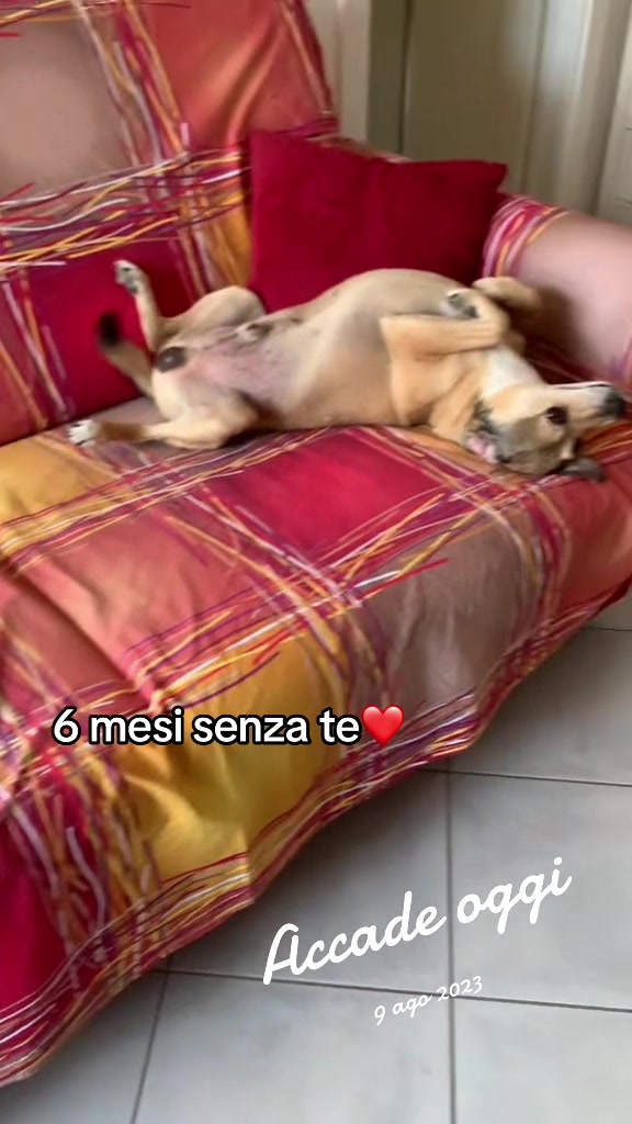 @Laghettorosa
